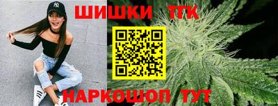 крисы Моздок