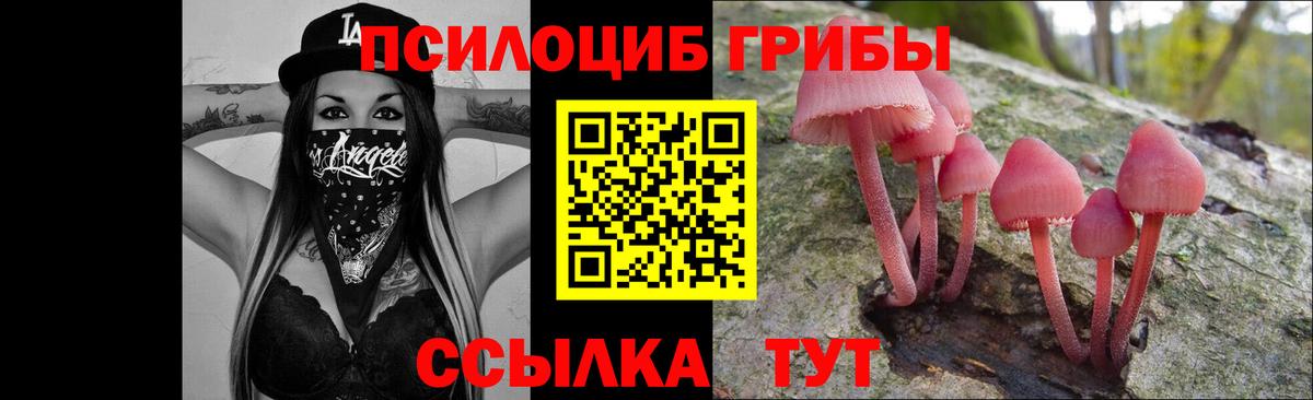 Галлюциногенные грибы GOLDEN TEACHER  Псилоцибиновые грибы GOLDEN TEACHER  купить наркотики цена  Вход с VPN  Старая Купавна 